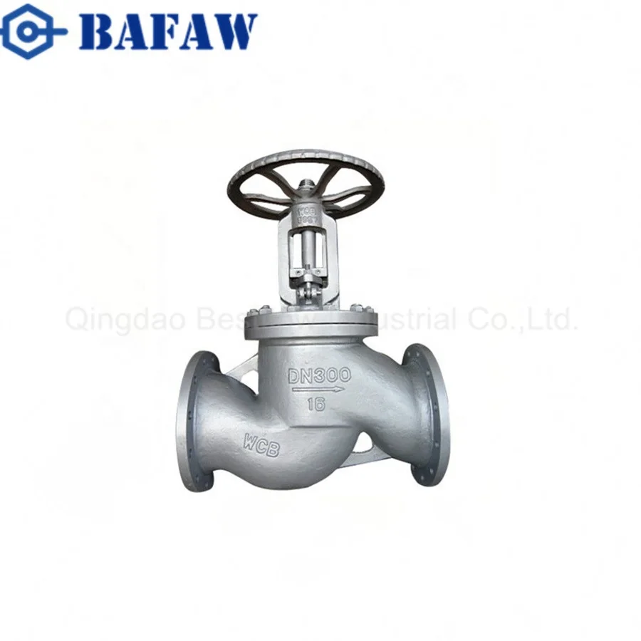 

PN25 To Control Water Pressure Relief Valve Cast Steel Globe Valve, Customer require