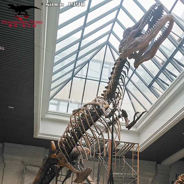 Real Dinosaur Skeleton Tyrannosaurus Skeleton Fossil For Sale Buy