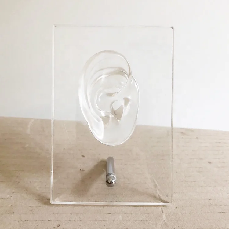 Factory Direct Hearing Aids Display Stands With Single Silicone Ear