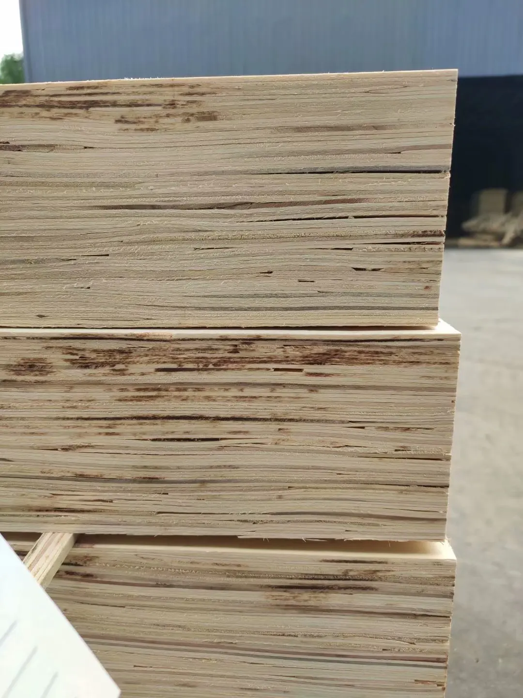 Consmos 9mm 12mm 15mm 18mm Carb Certificate Wooden Bed Slats Poplar