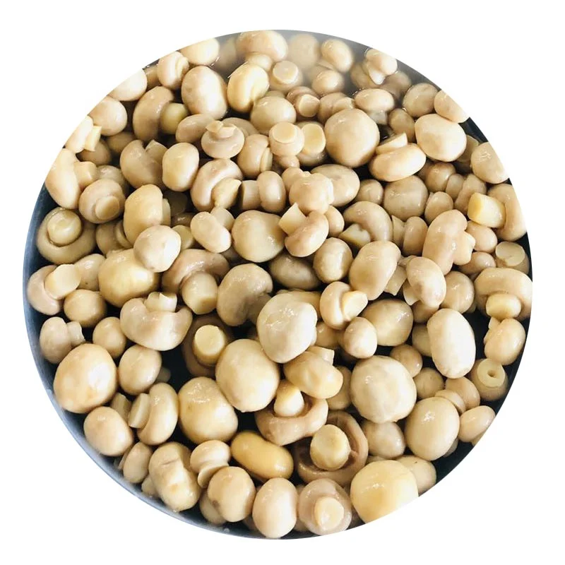 
New crop fresh mushroom in brine 