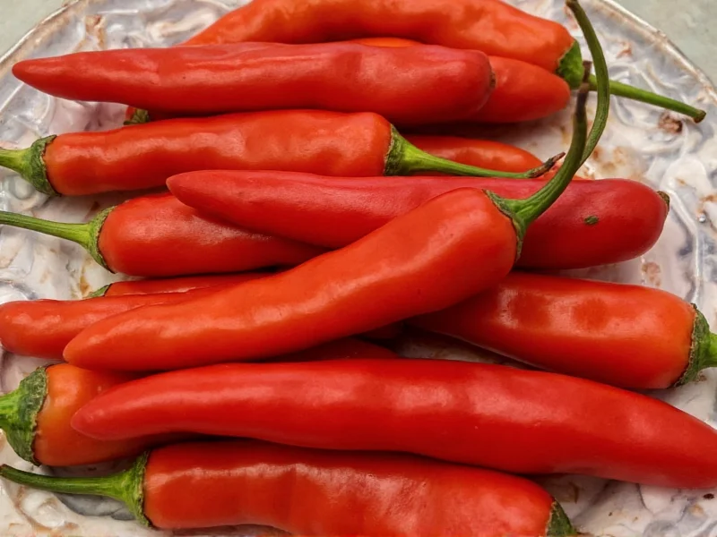 Best Thai Chili Replacements: Practical Substitutes for Cooking