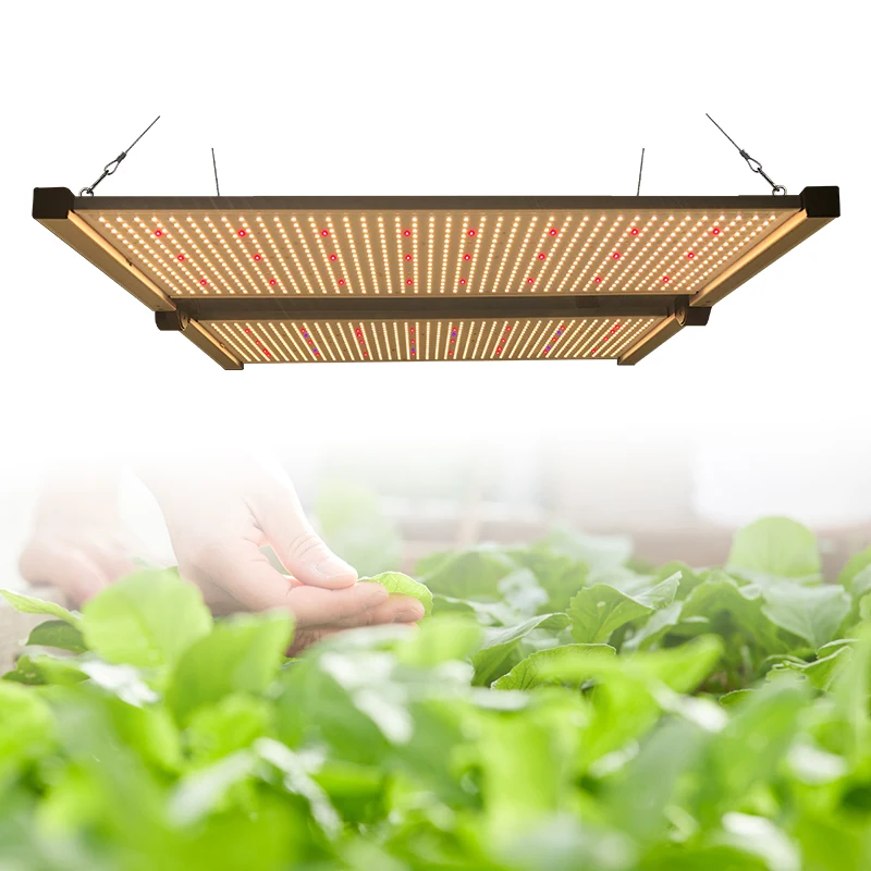 G1 Quantum 650w full spectrum led grow light with PWM Control for Commercial Cultivation Samsung cob led grow light kit