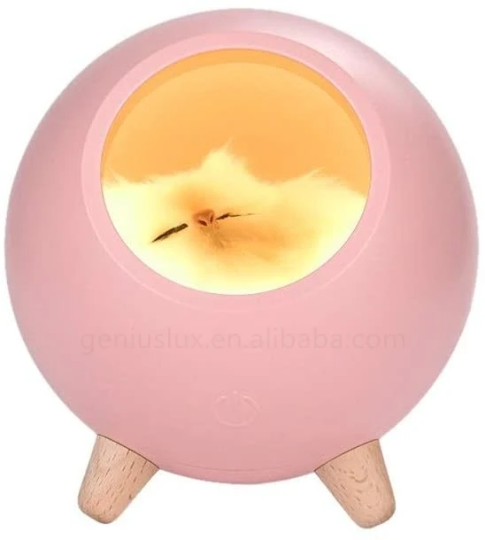 
Fashion Cute Cat Pet House Ambience Lamp USB Charging Cute Cartoon Mini Led Night Light Home Decoration Dropship 