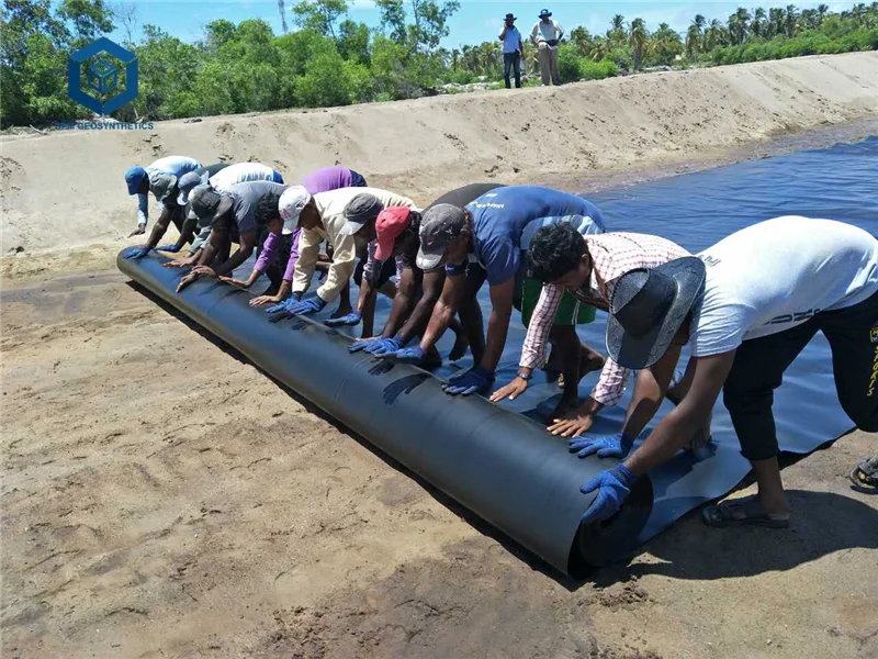 
250 micron Pond Liner HDPE Black Rolls Geomembrane kenya 