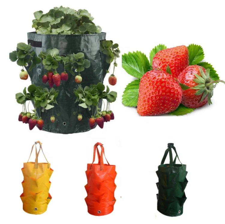

Strawberry Planter Bags For Growing Potatoes Outdoor Vertical Garden Hanging Open Style Vegetable Planting Grow Bag, Green,black,orange,yellow,or customized