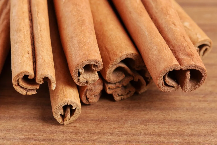 Close-up of Ceylon cinnamon sticks showing delicate layered structure compared to thick Cassia bark