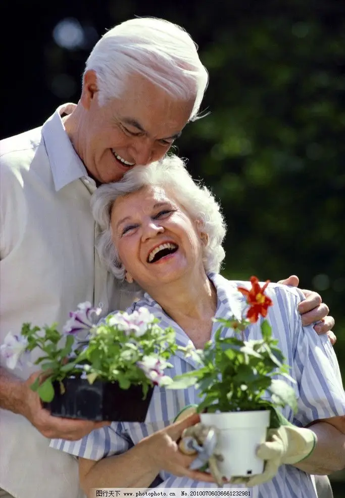 Two Seat Electric Tricycle Egypt Adult Tricycle Buy Thailand Tricycle