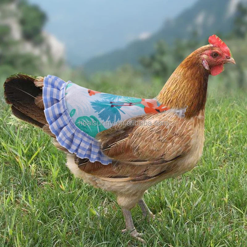 

Hen Apron Dress Poultry Saddle Chicken Feather Protection Frame Hen Wings Back Protector