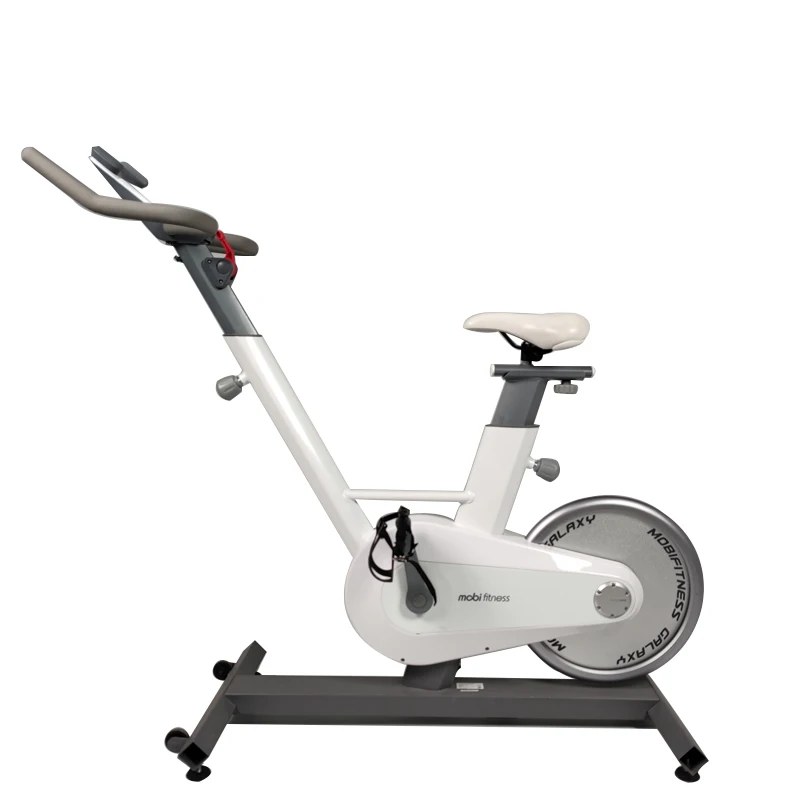 fahrrad spinningbike indoor 10-500 w