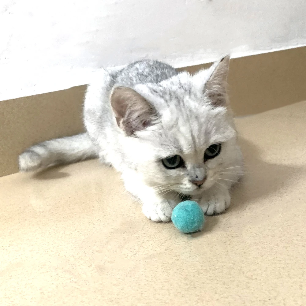 soft cat toy balls