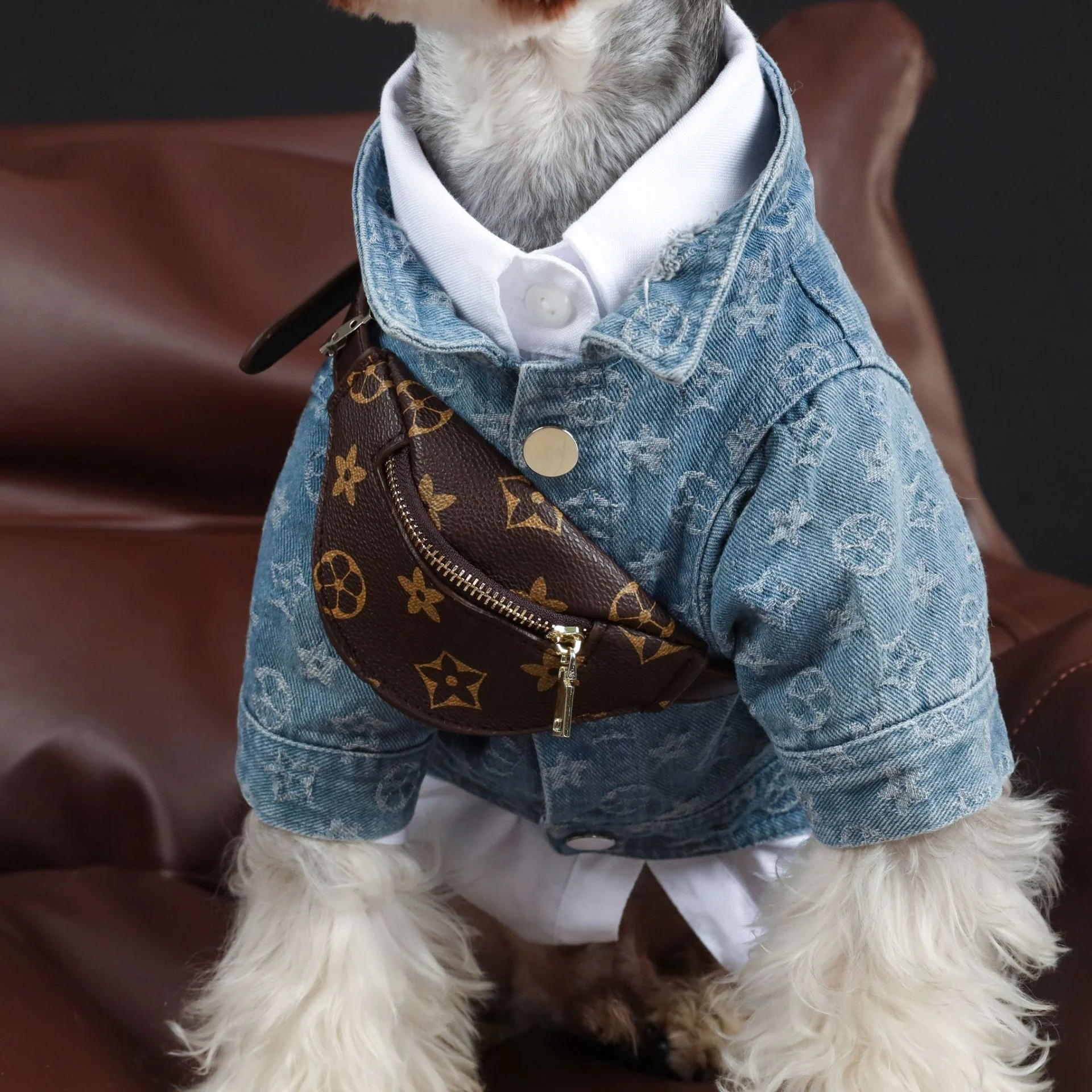 

Pet Apparel Dog Clothes Popular Logo Luxury Brand Blue Casual Dog Denim Jacket