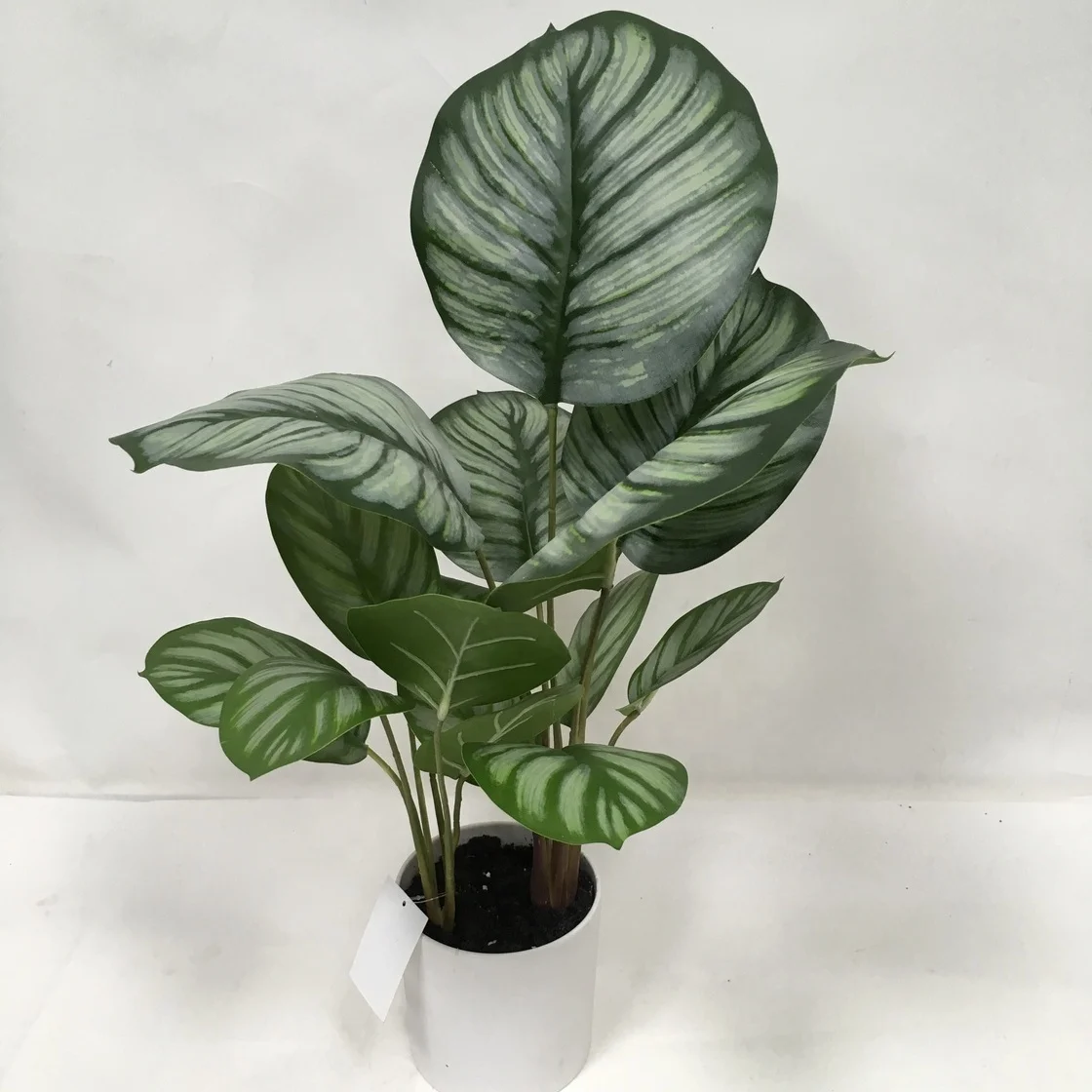 

Manufacture high quality silk green with white edge artificial calathea leaves tree in pot for desk indoor decoration, Natural green color
