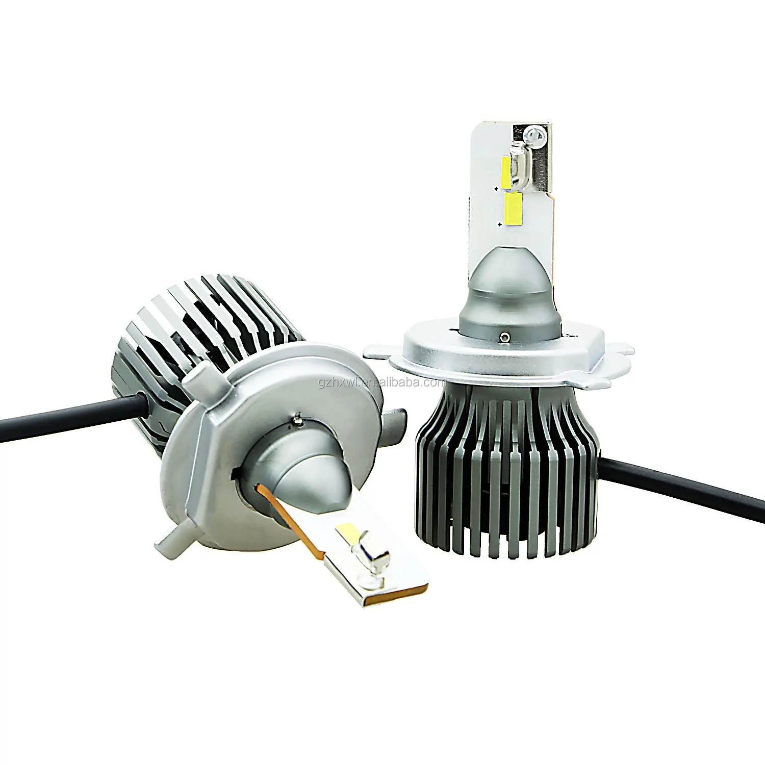 24V LED BULBS.jpg