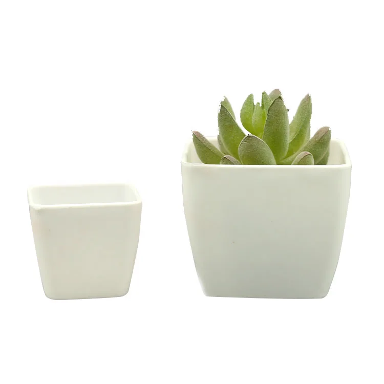 

BEES Classic Simplicity Simulated Succulents White Plastic Square Mini Flower Pot