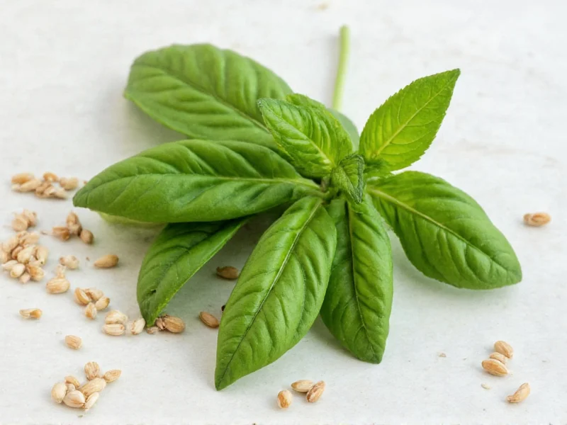 Fresh Basil Substitute Dried: Perfect Conversion Guide
