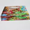 Various Color Household Elegant Acrylic Solid Perspex Candy Bowl UV Printing Nuts Holder
