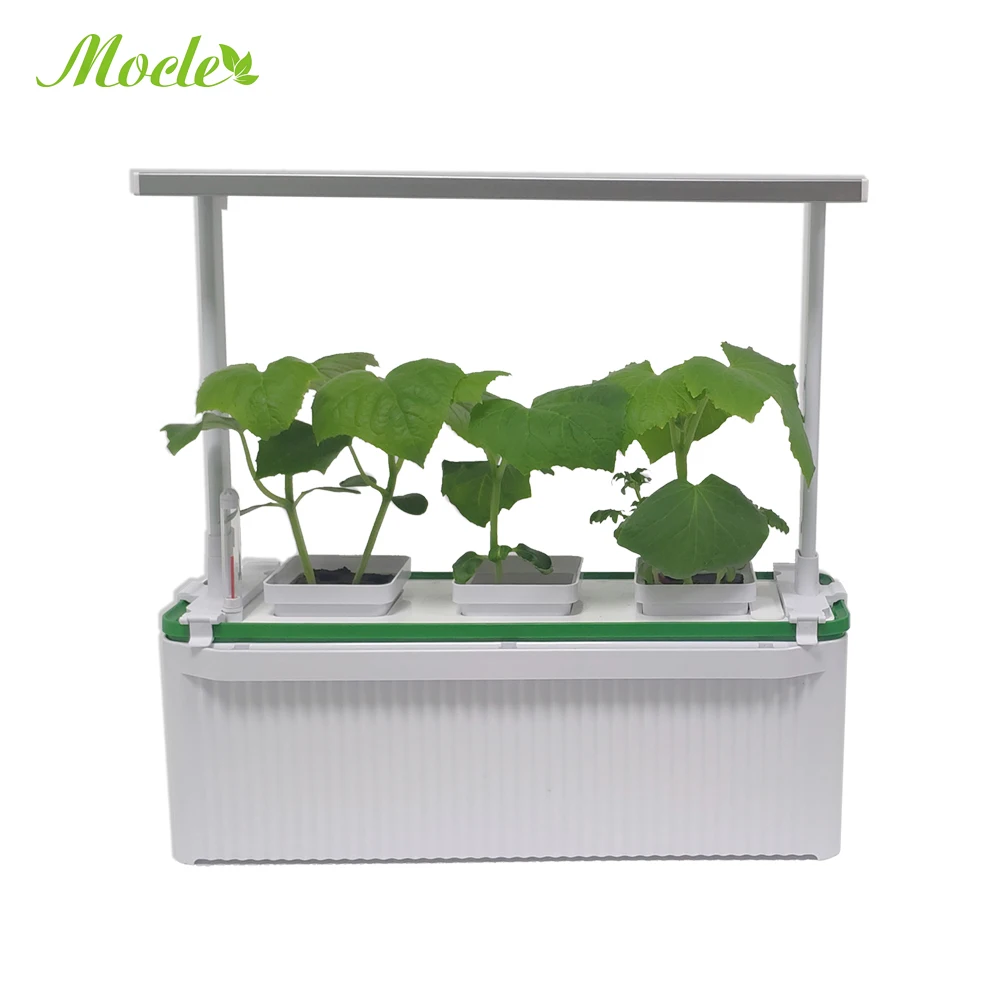 

HH Factory sale directly herb planter pots smart planter pot hydroponic indoor garden