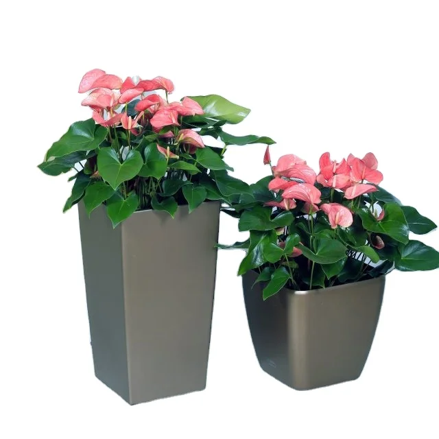 

Hot sale Morden best price curved tall square planters box outdoor indoor flowerpot plastic garden planting container, As picture or customized