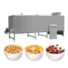 /product-detail/roasted-breakfast-cereal-corn-flakes-snack-food-extruder-machine-production-processing-line-62406268859.html