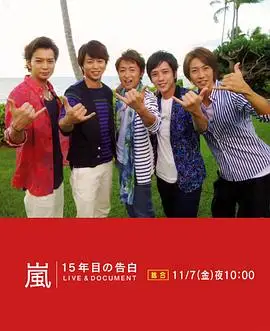 嵐 15周年的告白 嵐15年目の告白 Live Document 楓林網