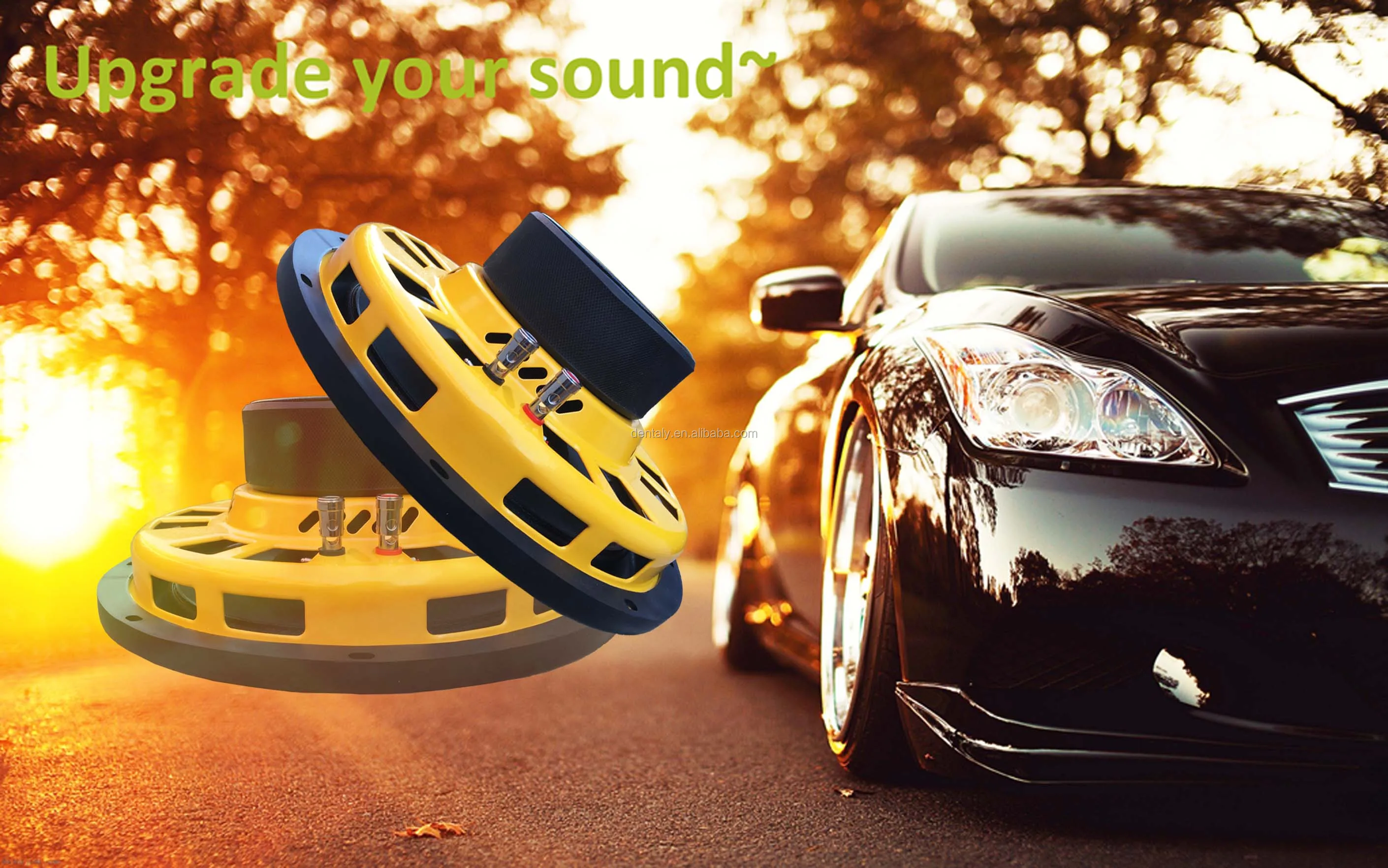 10 /12 Inch 300w Rms Power Slim Subwoofer For Car With Big Flat Dust