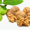 XinJiang China origin with high quality for human consumption Walnuts in Shell/Walnuts Kernels