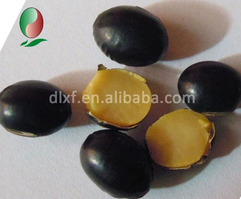 
Chinese black bean yellow kernel whosale 