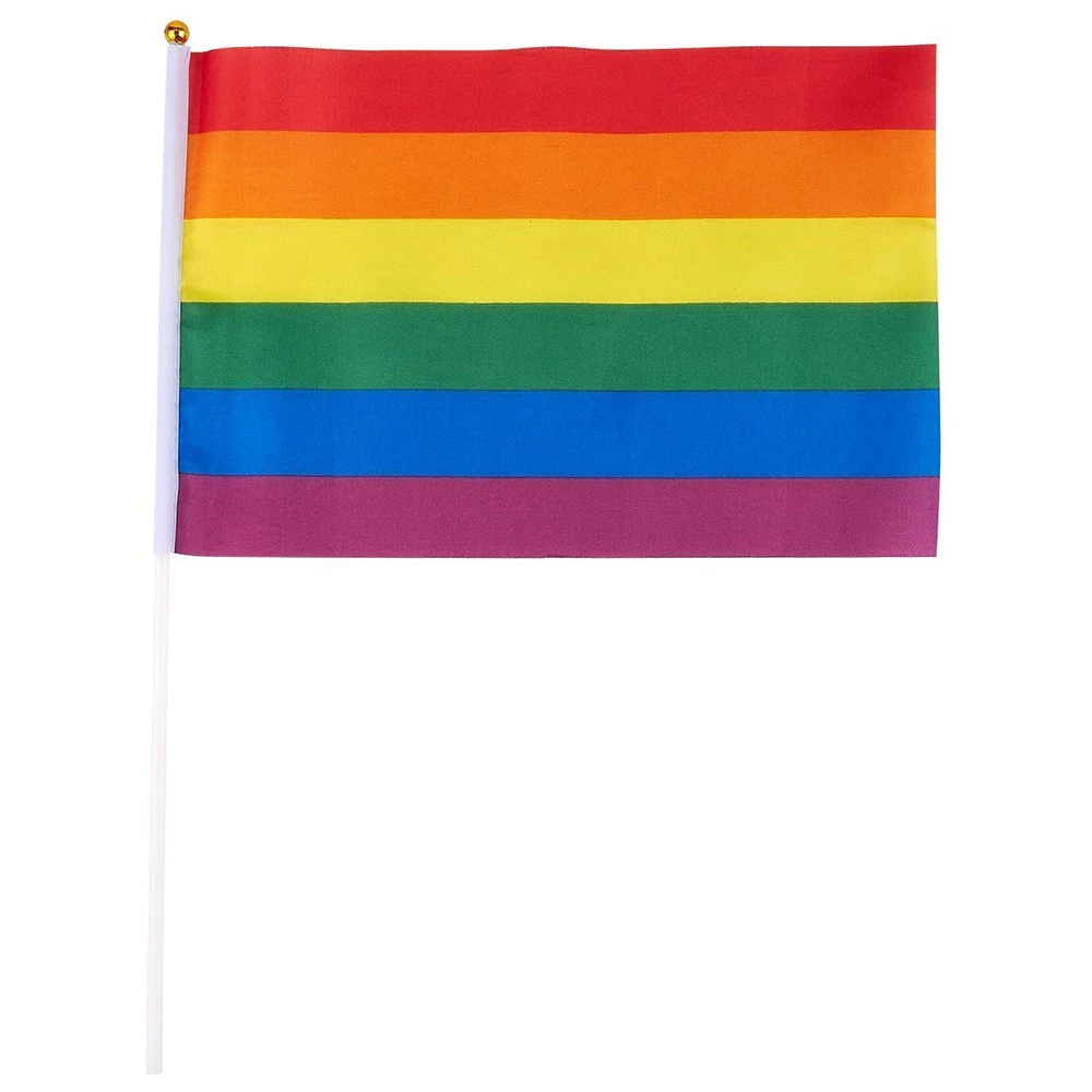 Customized Small Size Shake Flag Polyester Printed Lgbt Gay Pride 14