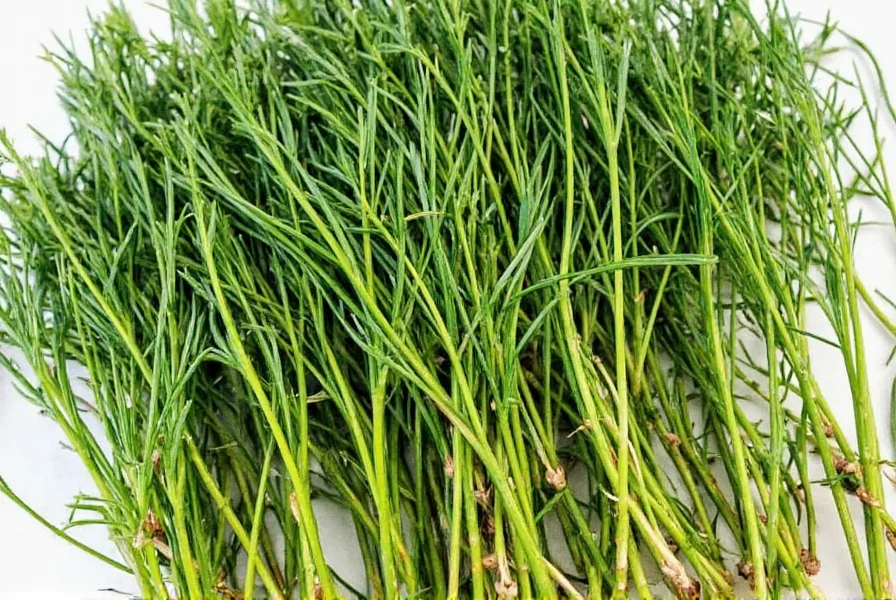 Spoon with dried chives