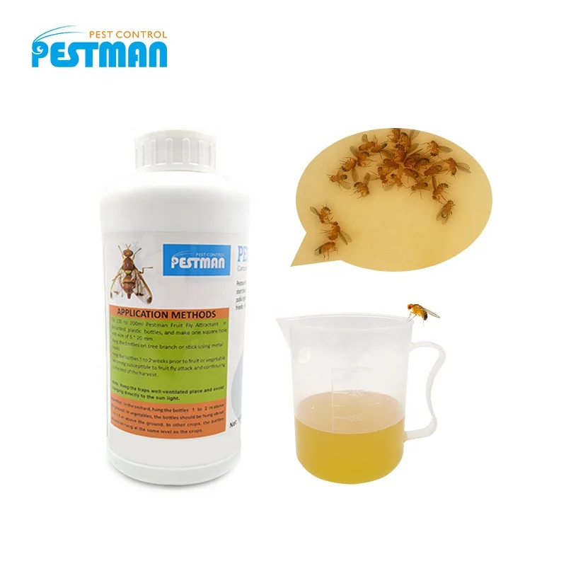 

fruit fly trap catcher killer oriental plants fli garden farm repellant protection attractant fruit flies trap, Yellow