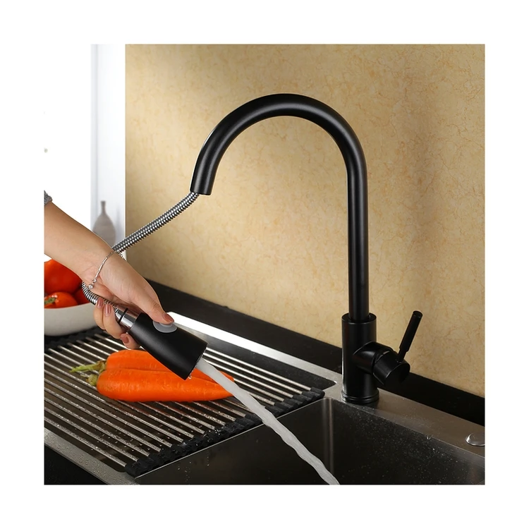 Economic Flexible Pull Out Kitchen Faucet - Vintage Matte Black