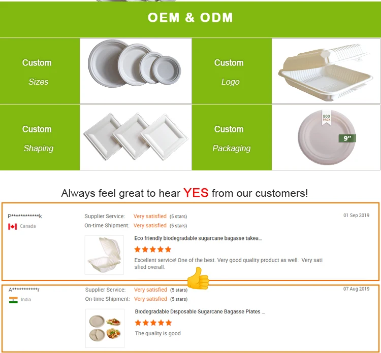 Biodegradable Disposable Bagasse Tray With 4 Compartments For Fast Food