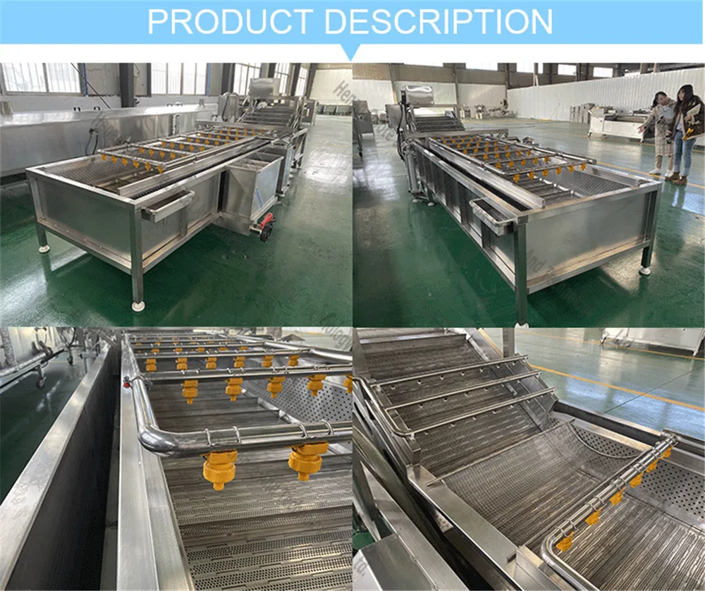 stainless steel meat washer mini carrot washing machine