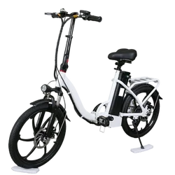 Cheap 20 Inch 48V electric city bike Folding 2 seat e-bicycle 350W Lithium battery e-bike electric bicycle
