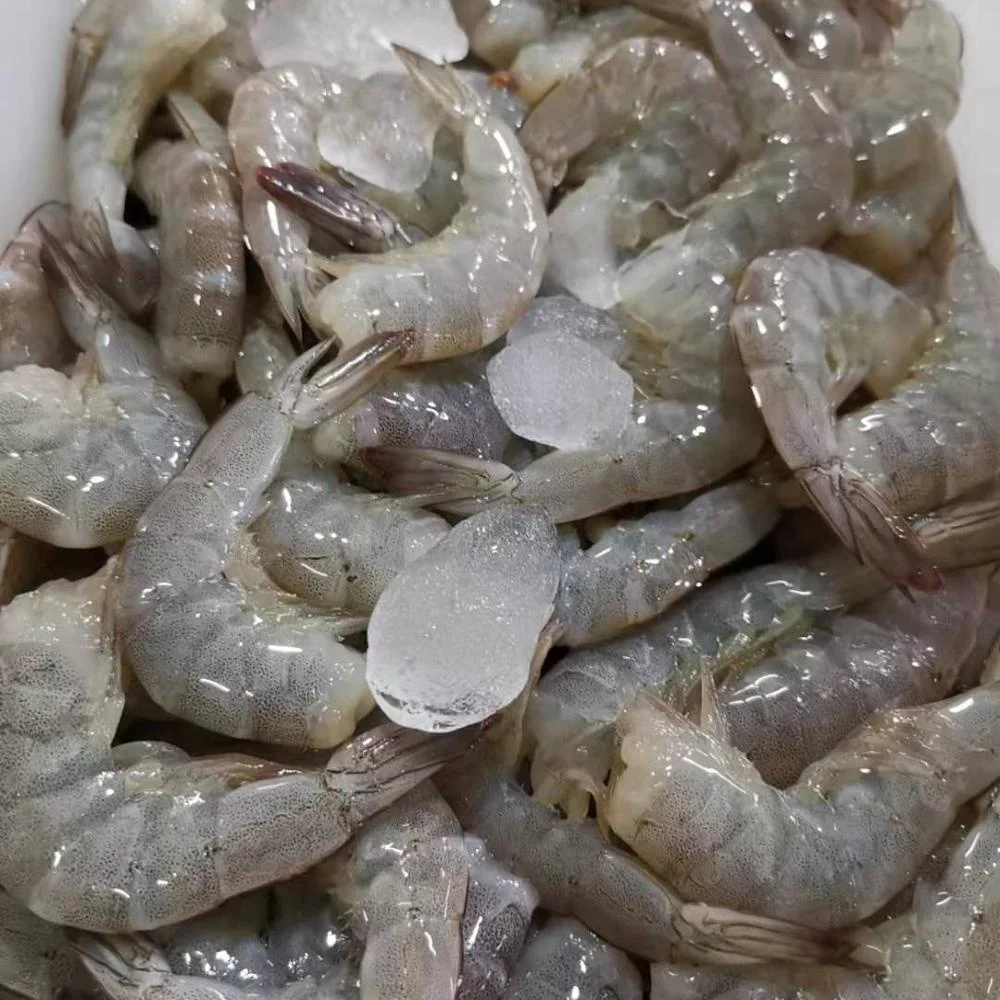 
Frozen vannamei shrimp wholesale and seafood 