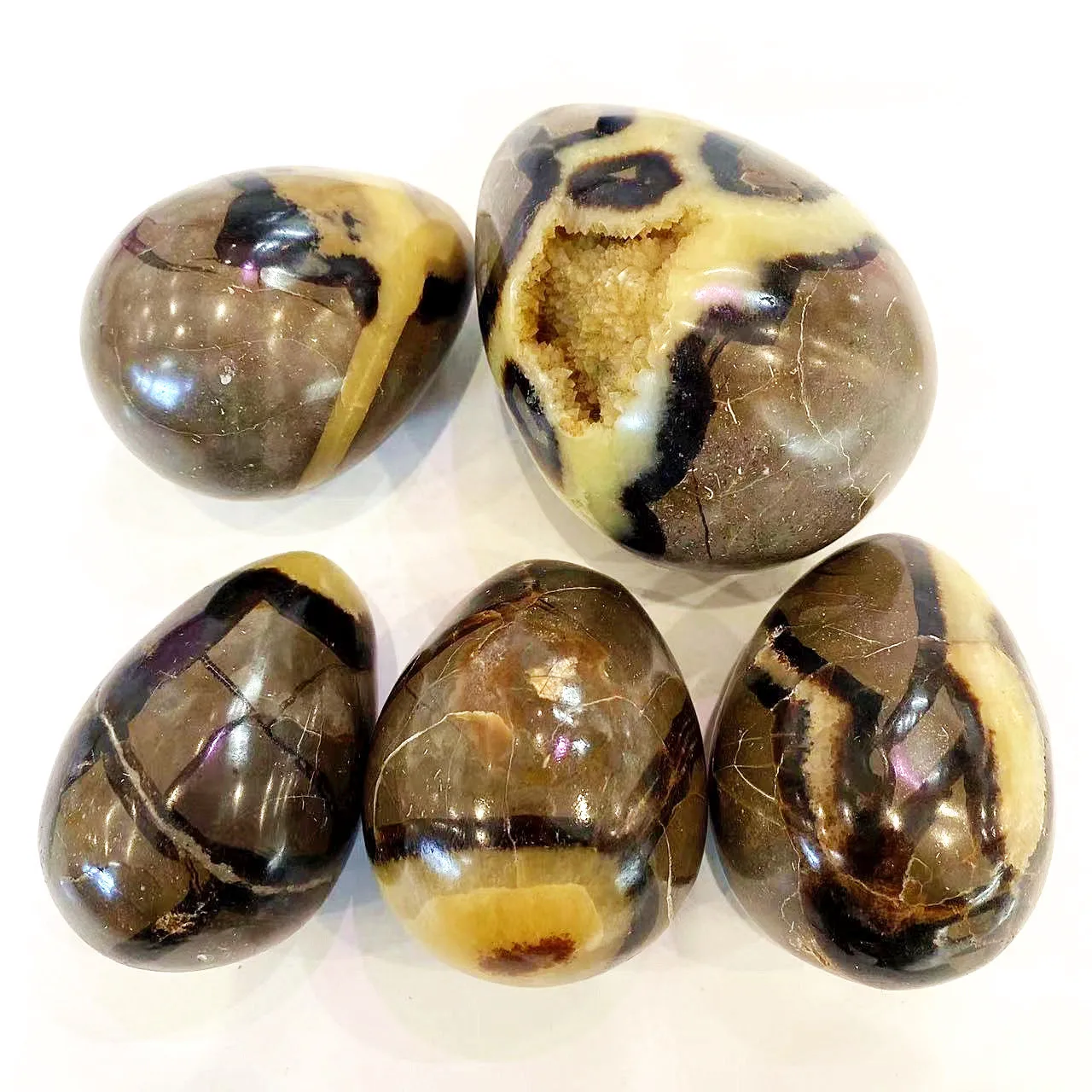 

Natural Healing Crystal Gemstone Reiki Septarium Geode Eggs