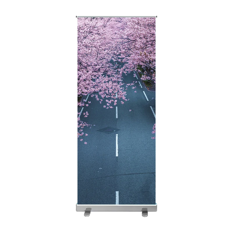 

Custom Printing 85*200Cm Roll Up Standees For Advertisement Retractable banner stand