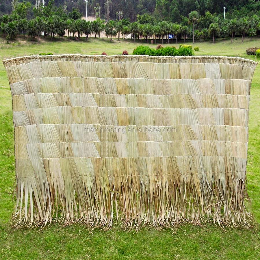 

nature Palm leaves sheet