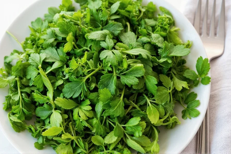 parsley panic dried vs fresh a savory showdown