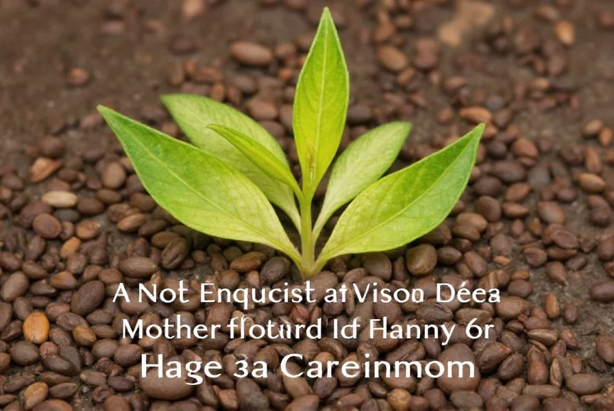 Cardamom on Table