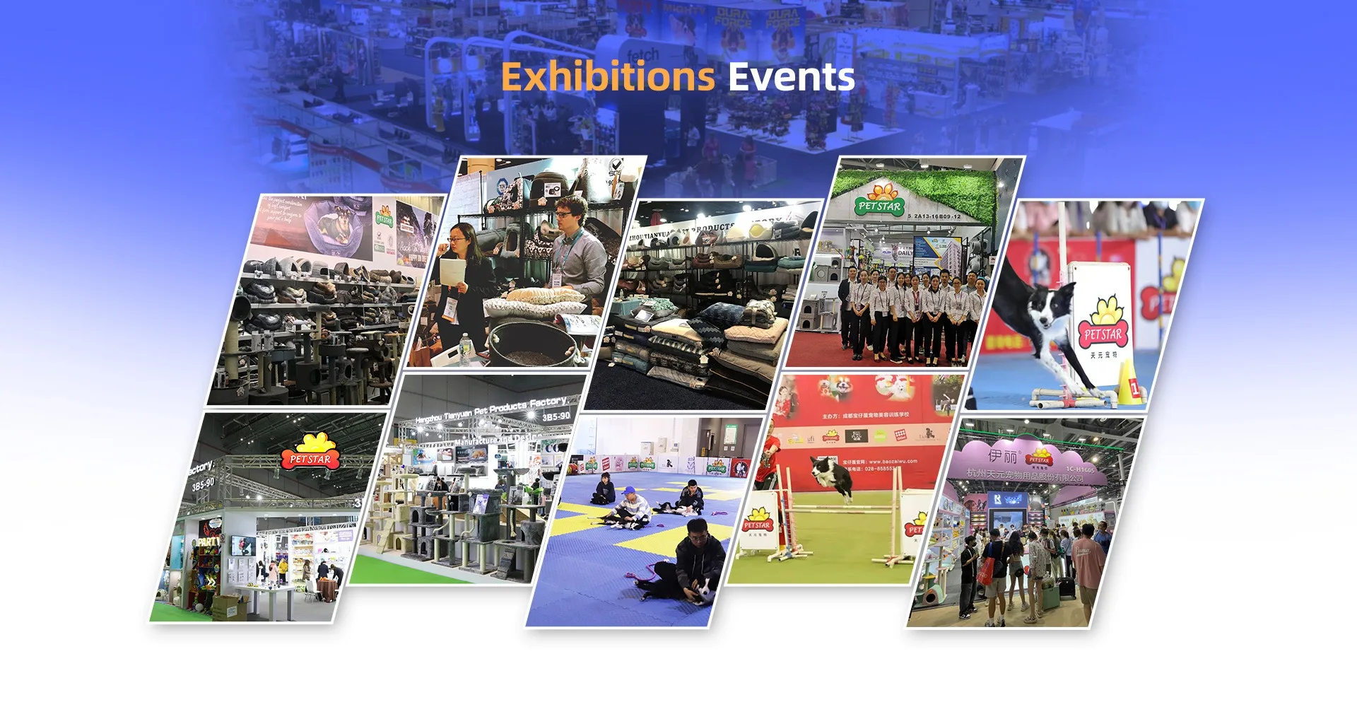 Hangzhou Tianyuan Pet Products Co., Ltd. Cat Tree, Pet Bed