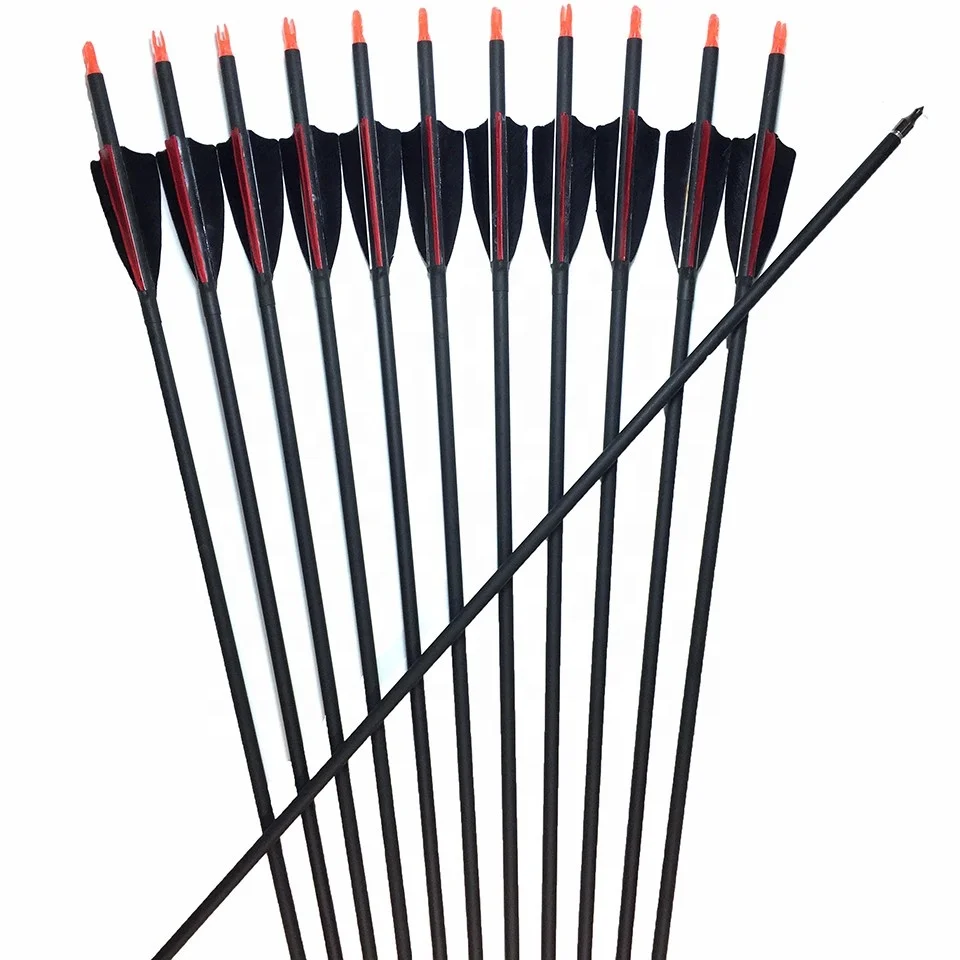 

Replaceable tips Carbon Arrow 30" Spine 500 600 With Turkey Feather For Recurve and Compound Bow and arrow Hunting shooting