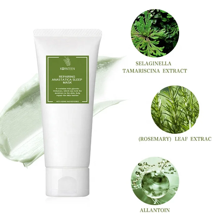 

Private Label ANASTATICA Pore Refining overnight wash-free sleeping mask Spa Quality Pore Reducer for Acne Blackheads Oily Skin