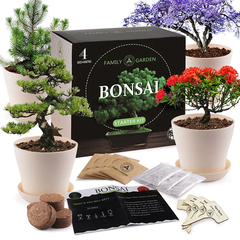 

Diy Crafts Indoor Home Growing Plant Gifts Pot Peat Soil Bonsai Tree Starter Kit for Kids Educational Plant Growing Kit