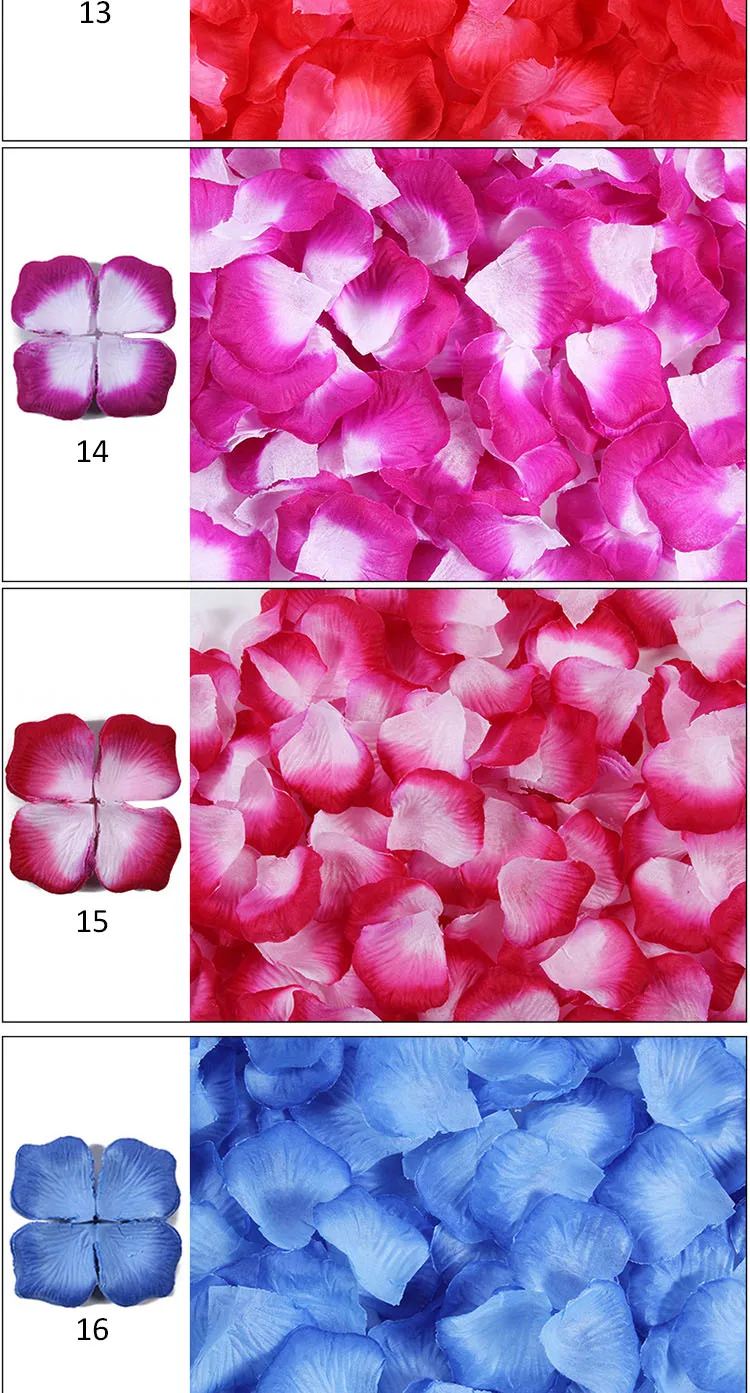 Petal14.jpg
