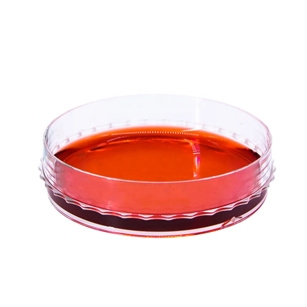 
Lab Disposable Plastic Petri Dish 120mm for Microscope 