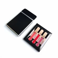 

Brand new paper box of 4 matte liquid Long lasting lip liner and lipstick set