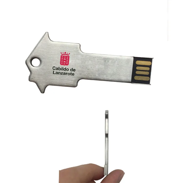 house usb key (27)