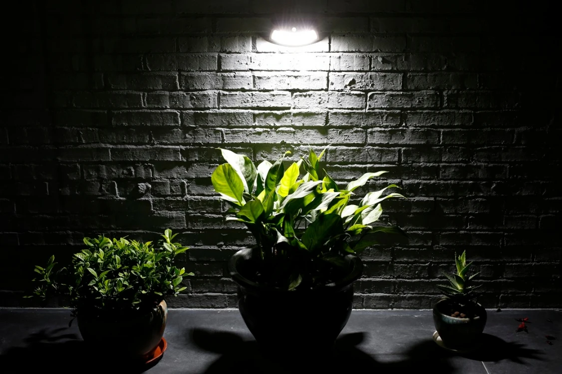 _P2A3968.jpg